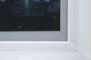 The Benefits of Installing Window Screens